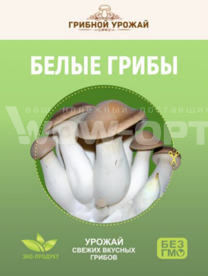 Домашняя грибница Белые грибы оптом