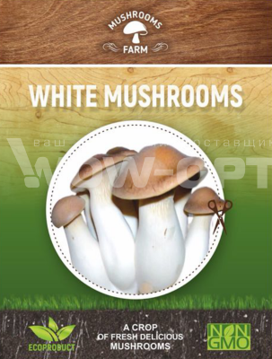 Домашняя грибница Mushrooms Farm оптом
